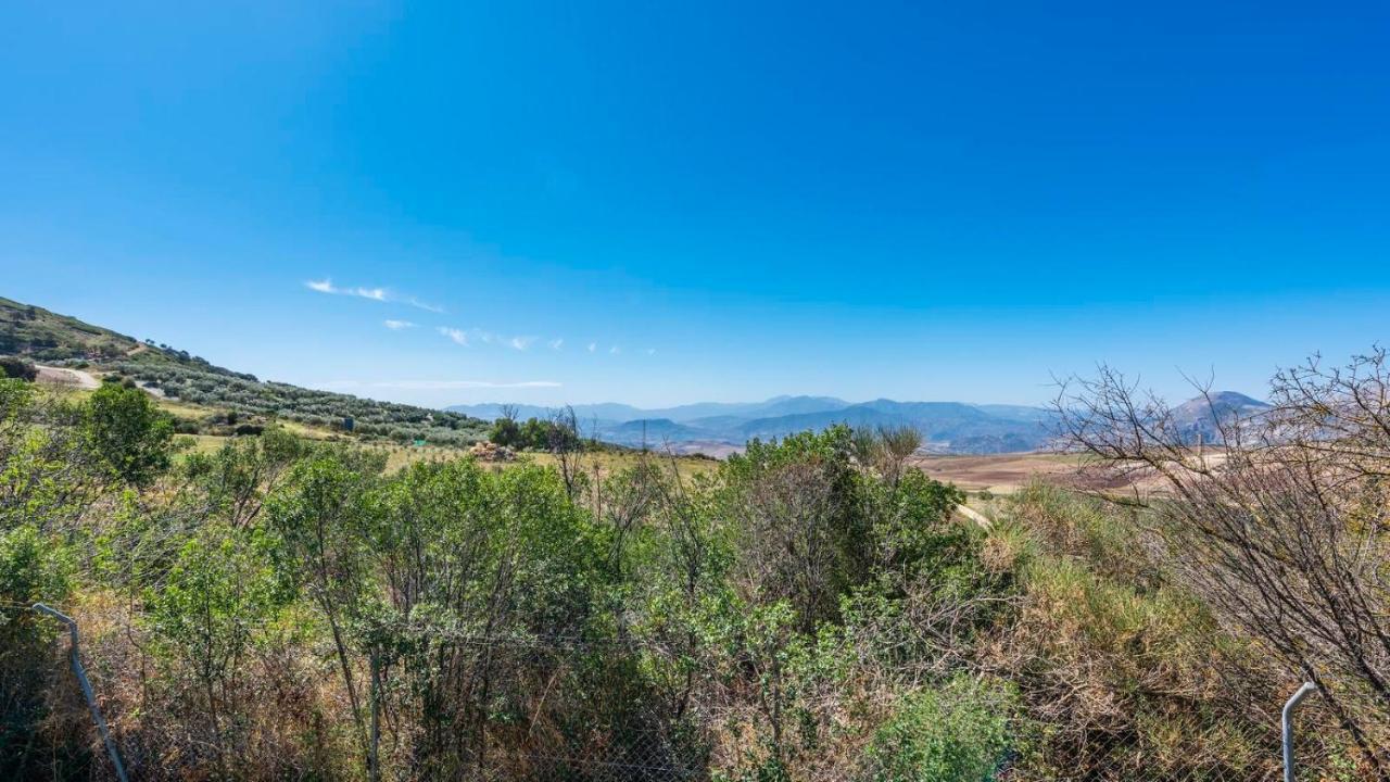 Los Olivos Antequera - Los Nogales By Ruralidays エクステリア 写真